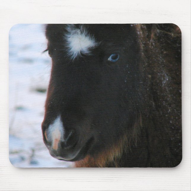Adorable Mini Horse Filly Mouse Pad (Front)