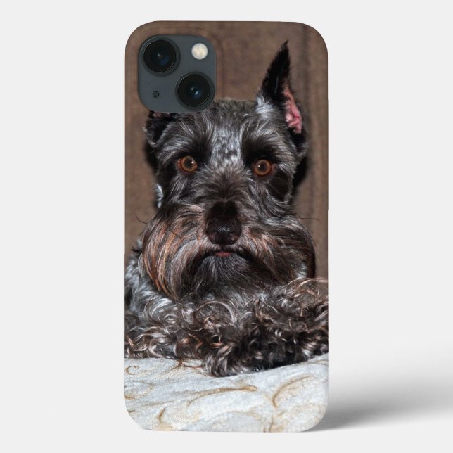 Adorable Mini Schnauzer Portrait on iPad Case (Back)
