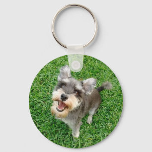 Adorable Miniature Schnauzer Ready to Play Key Ring
