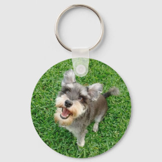 Adorable Miniature Schnauzer Ready to Play Key Ring