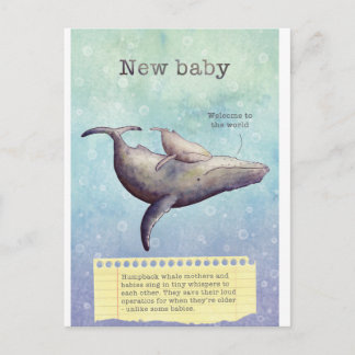 Adorable mother and baby whale. New baby card. Announcement Postcard