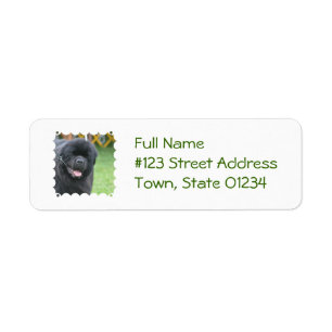 Adorable Newfoundland Return Address Label