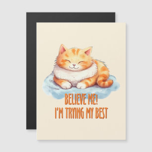 Adorable Orange Tabby Cat- I'm Trying My Best