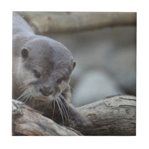 Adorable Otter Ceramic Tile