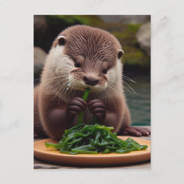 Adorable Otter Eating a Seaweed Salad Postcard (Front)