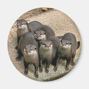 Adorable Otter Family Magnet