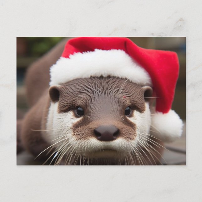 Adorable Otter Santa Hat Postcard (Front)