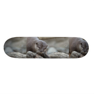 Adorable Otter Skateboard