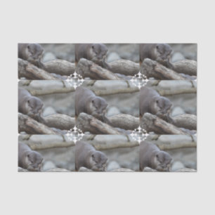 Adorable Otter Tissue Paper