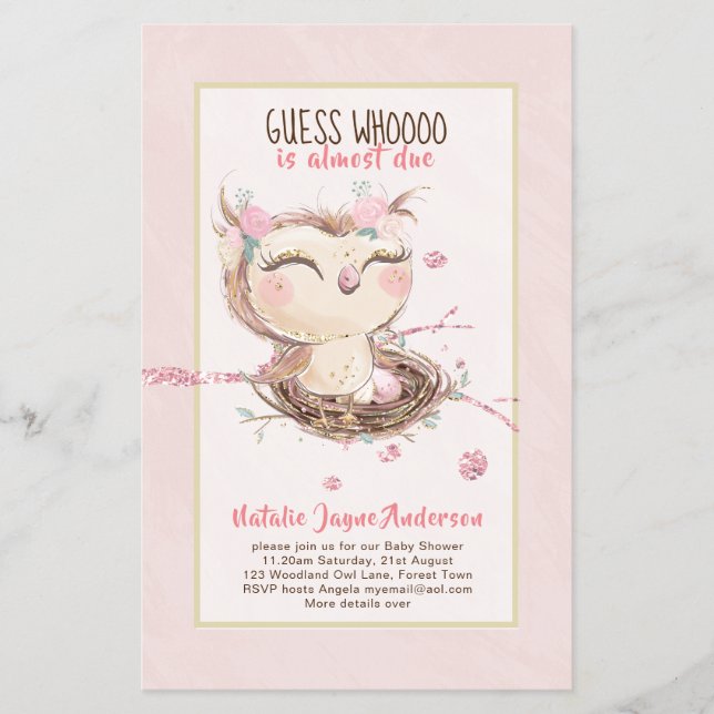 Adorable OWL Baby Shower Girls or Boys Invitation Flyer (Front)