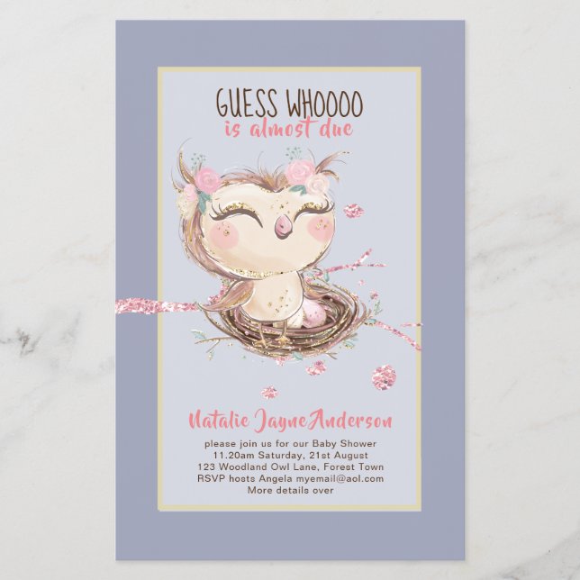 Adorable OWL Baby Shower Girls or Boys Invitation Flyer (Front)