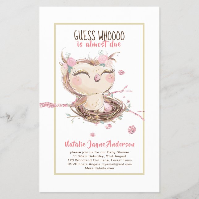 Adorable OWL Baby Shower Girls or Boys Invitation Flyer (Front)