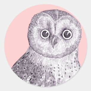 Adorable Owl - Spotted or Barred Owl Antique Print Classic Round Sticker
