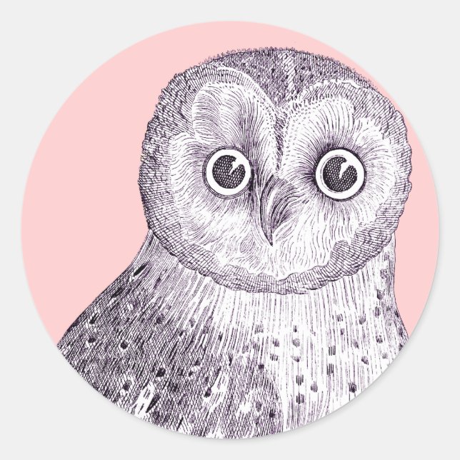 Adorable Owl - Spotted or Barred Owl Antique Print Classic Round Sticker (Front)