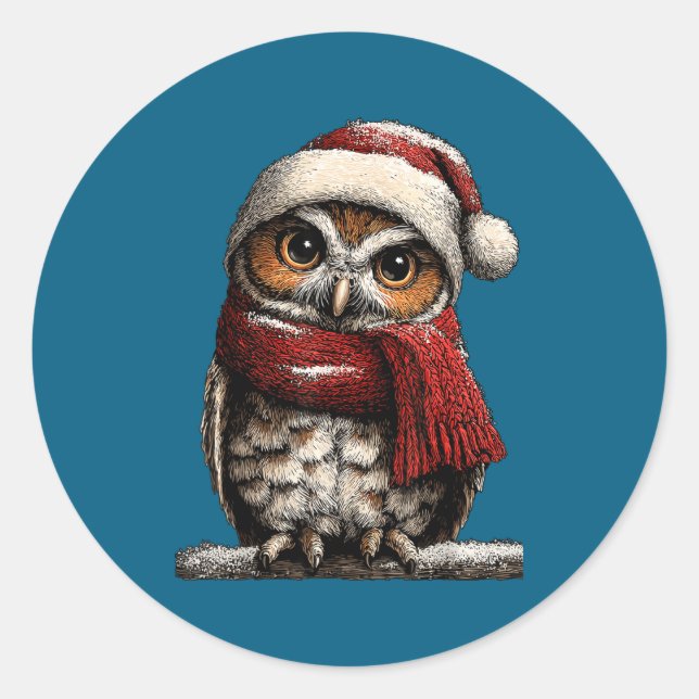 Adorable Owl With Santa Hat Snowy Winter Christmas Classic Round Sticker (Front)