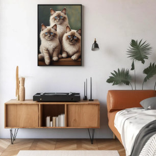 Adorable Pair of Ragdoll Kittens Sweet Cat Poster