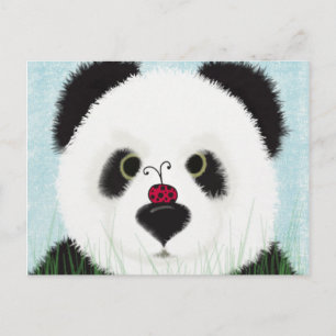 Adorable Panda Bear Postcard