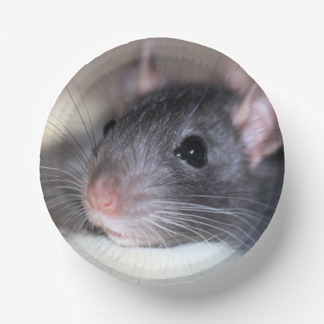 Adorable Paper Plate (Front)