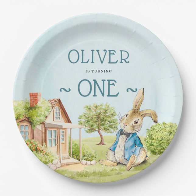 Adorable Peter Rabbit First Birthday Paper Plate (Front)
