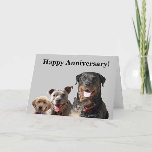 Adorable Pets Anniversary Card (Front)