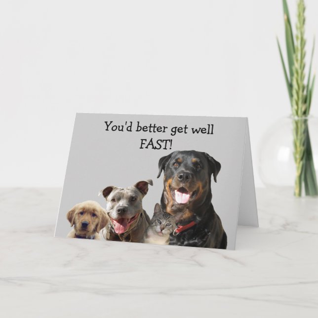 Adorable Pets Get Well Card (Front)