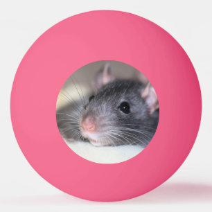 Adorable Ping Pong Ball