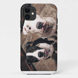 adorable pitbull puppies dogs iPhone 11 case