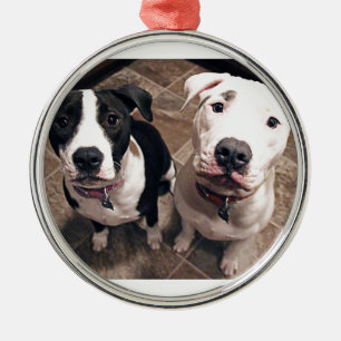 adorable pitbull puppies dogs metal tree decoration