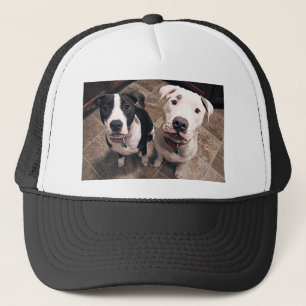 adorable pitbull puppies dogs trucker hat