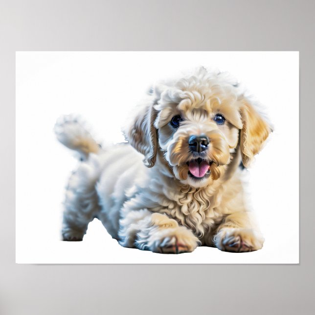 Adorable playful poodle puppy poster (Front)