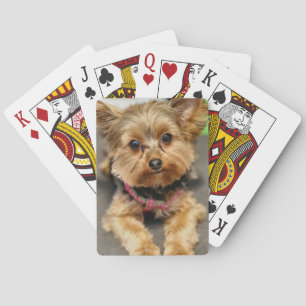 Adorable Playing Cards