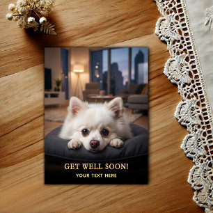 Adorable Pomeranian Get Well  Postcard