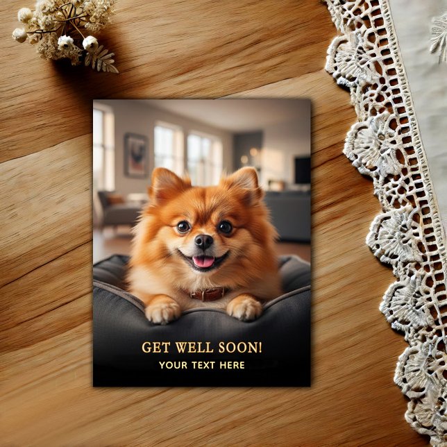 Adorable Pomeranian Get Well  Postcard (Creator Uploaded)