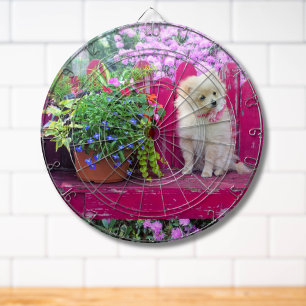 Adorable Pomeranian Puppy on Rustic Garden Bench  Dartboard