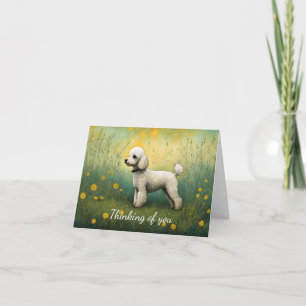 Adorable Poodle In Meadow Thinking Of You Card
