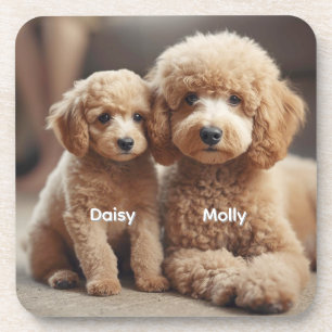 Adorable Poodle Personalised Coaster Set