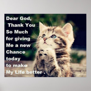 Adorable Praying Kitten Poster