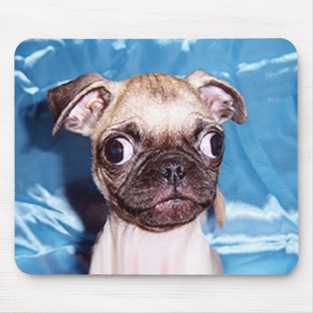 Adorable Pug Puppy Mousepad (Front)