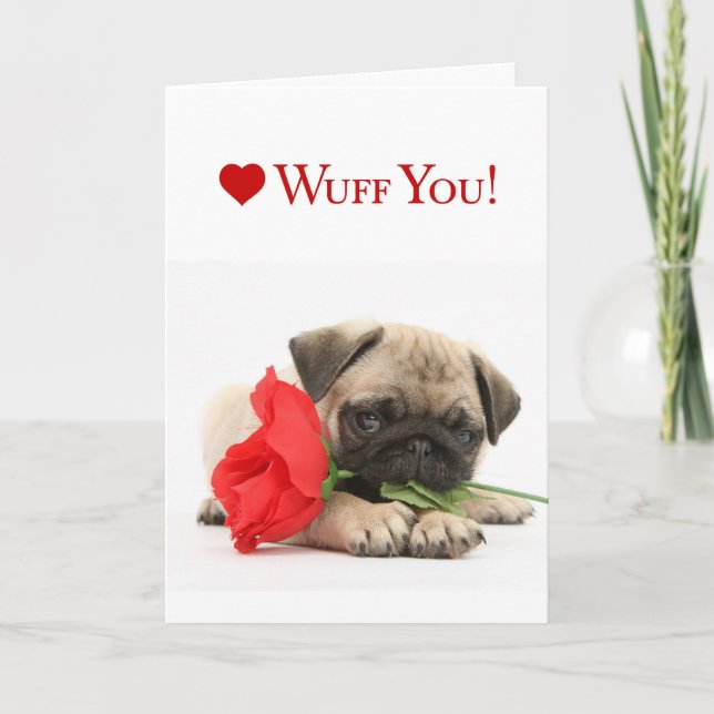 Adorable Pug Puppy Valentine with a Red Rose Holiday Card (Front)