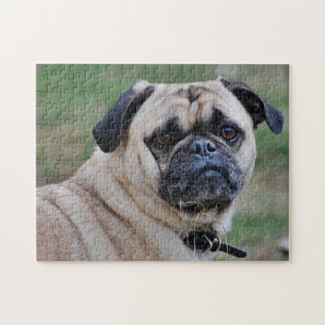 Adorable Pug With A Piece Of Grass Puzzle (Horizontal)
