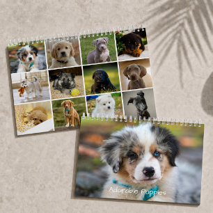 Adorable Puppies 2027 Cute Dog Calendar