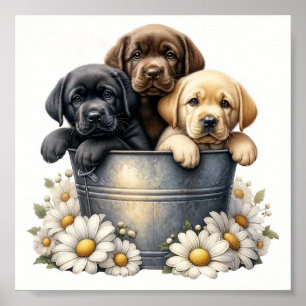 Adorable Puppies In A Flower Pot Wall Poster 