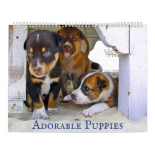 Adorable Puppies Personalised 2022 Calendar