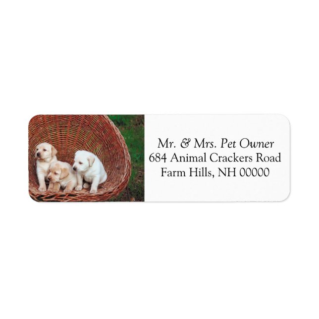 Adorable Puppies Return Address Mail Label Sticker (Front)
