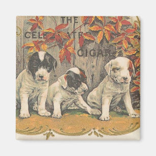 Adorable Puppies Vintage Cigar Ad Magnet