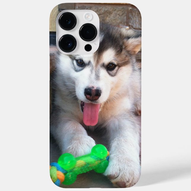 Adorable Puppy Alaskan Malamute Photograph Case-Mate iPhone Case (Back)