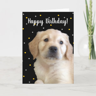 Adorable Puppy Birthday Card for Anyone