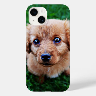 Adorable Puppy Cute Photo  Case-Mate iPhone 14 Case