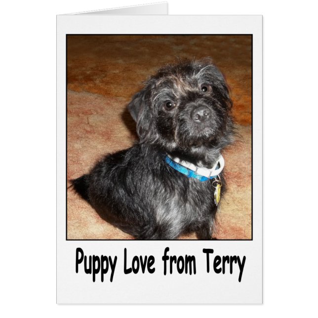Adorable "Puppy Love From Terry" Card (Front)