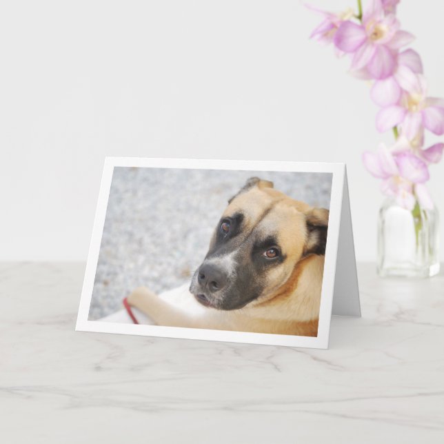 Adorable Puppy Portrait Card (Orchid)